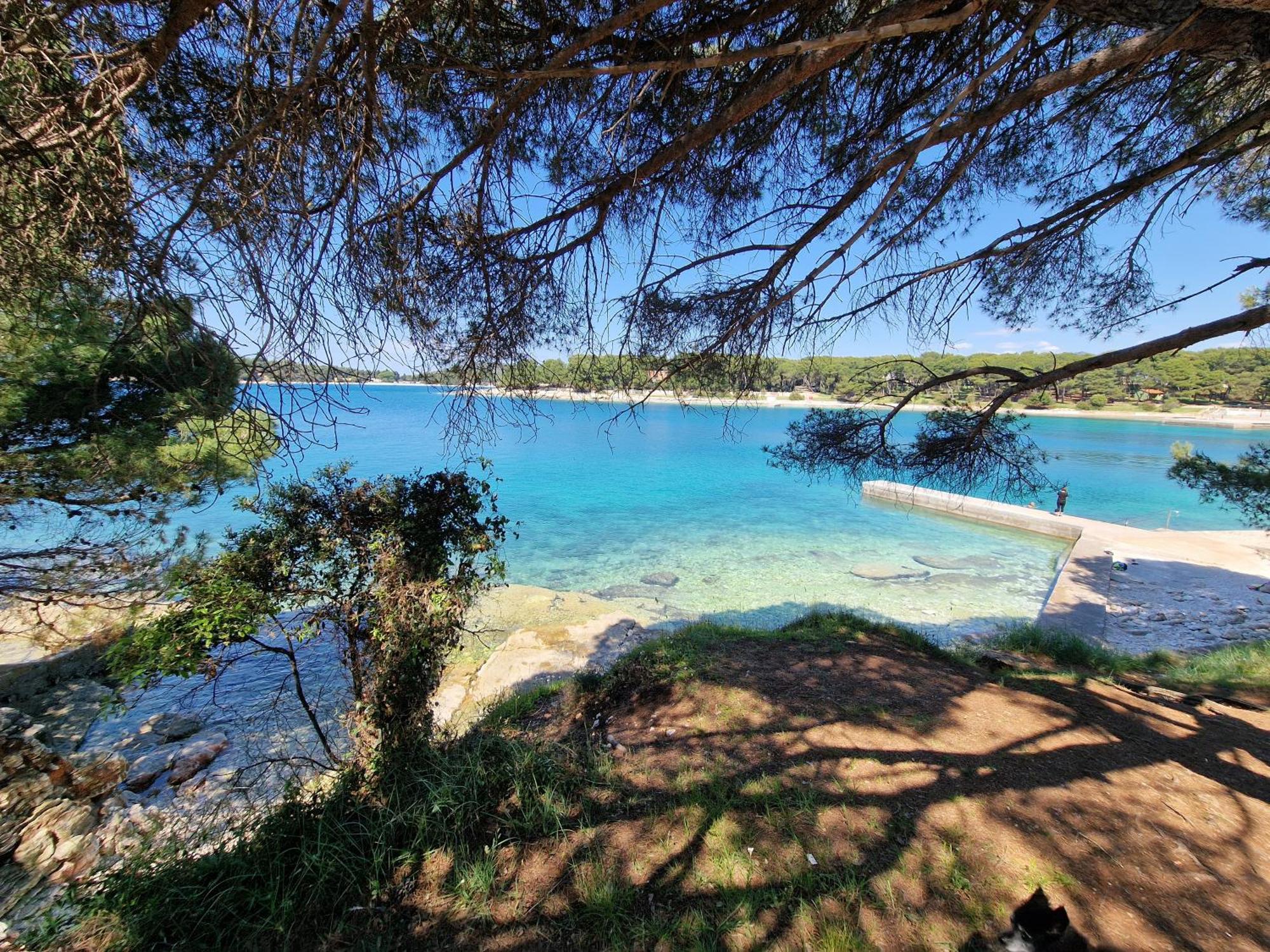 Paradise Apartment